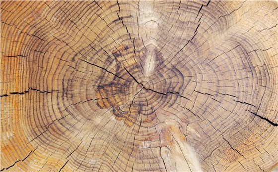 上海辦公家具定制