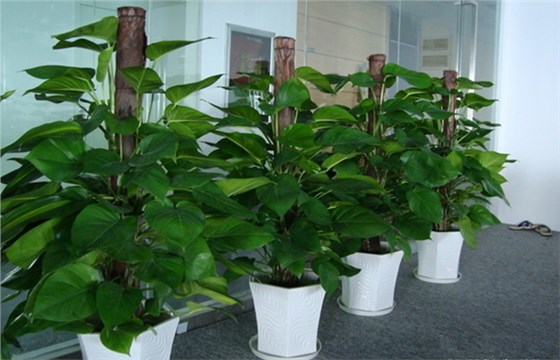 時(shí)尚辦公家具