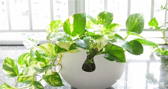 上海辦公家具廠家