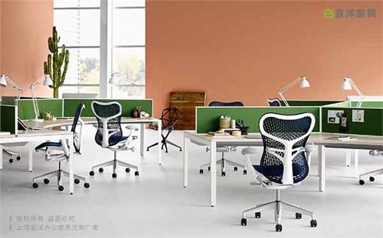 辦公家具風(fēng)水植物