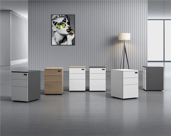 文件柜/活動柜/儲物柜