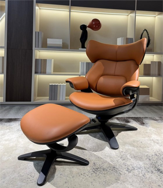 休閑椅/單人沙發(fā)/沙發(fā)