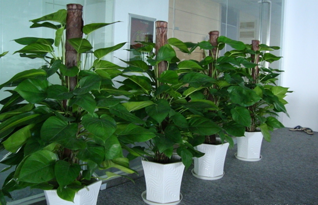 時(shí)尚辦公家具 時(shí)尚辦公家具