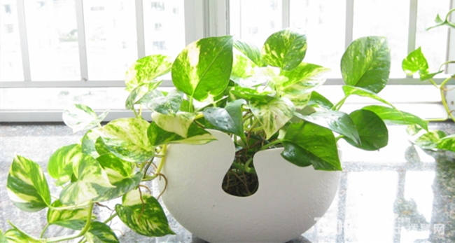 上海辦公家具廠家