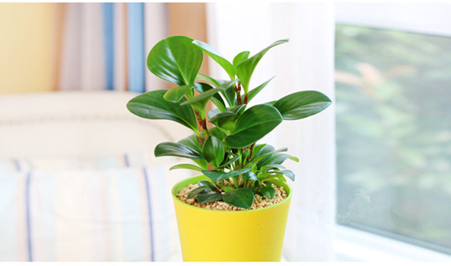 時(shí)尚辦公家具