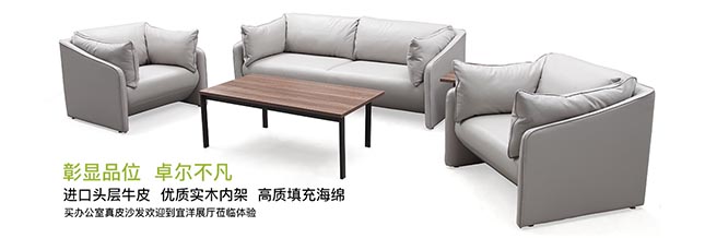 皮質(zhì)辦公椅,皮質(zhì)辦公椅,皮質(zhì)休閑椅