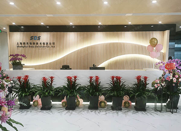 數訊前臺,定制前臺,數訊定制前臺 數訊前臺,定制前臺,數訊定制前臺