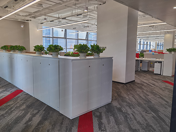 文件柜定制,定制文件柜,文件柜 文件柜定制,定制文件柜,文件柜