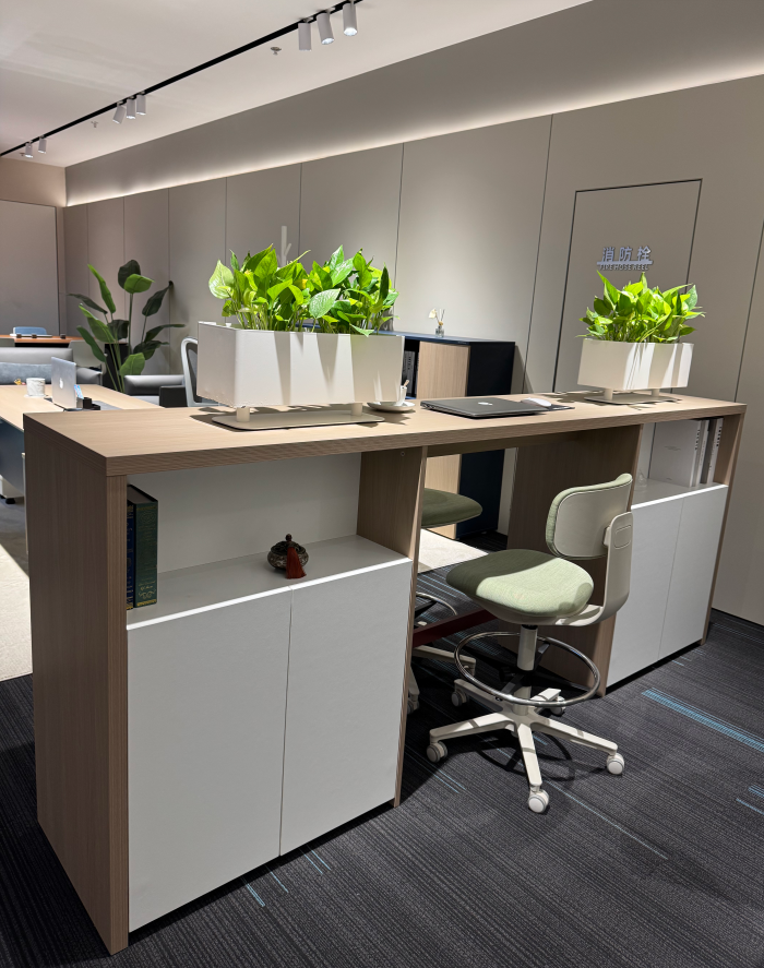 文件柜/儲物柜/定制柜/邊柜